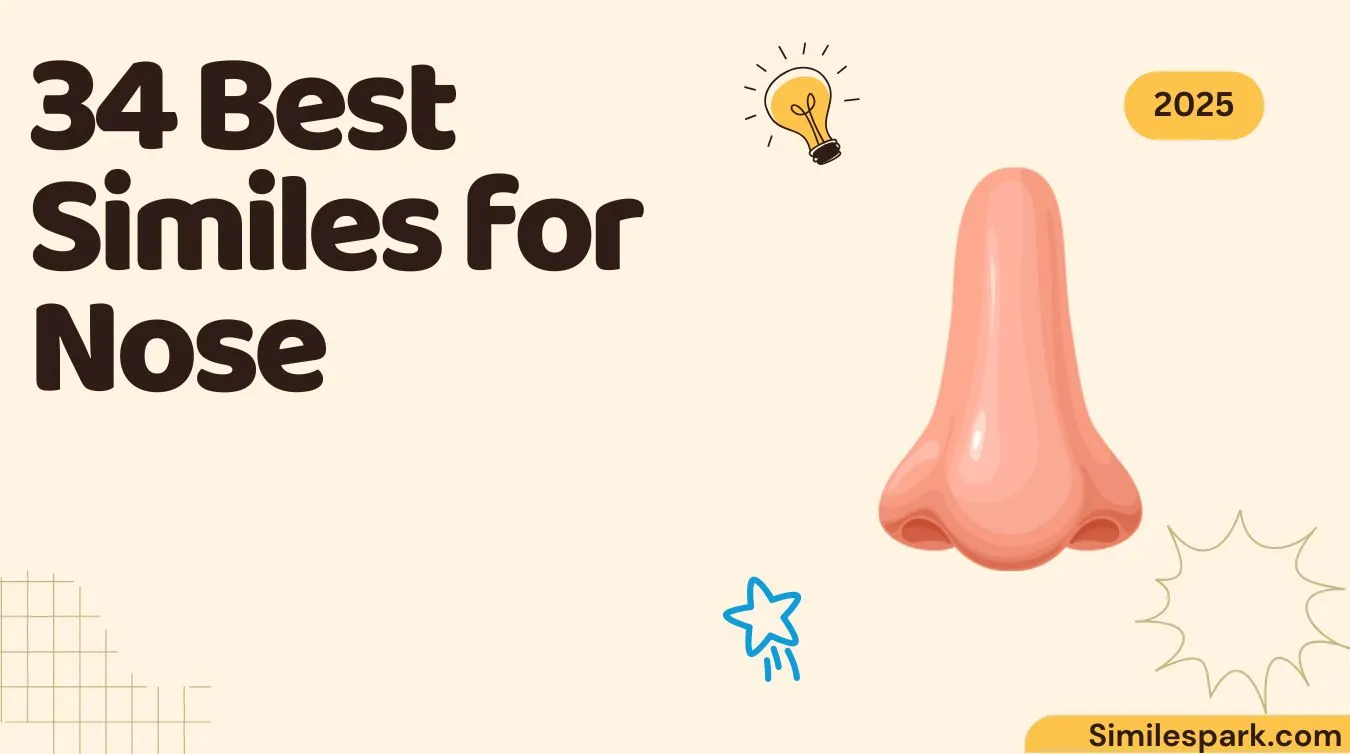 34 Best Similes for Nose