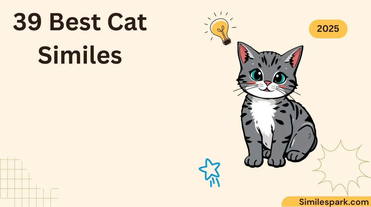 39 Best Cat Similes