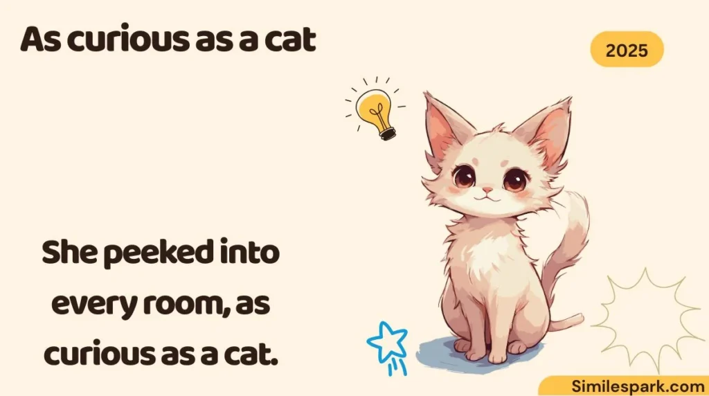 As curious as a cat