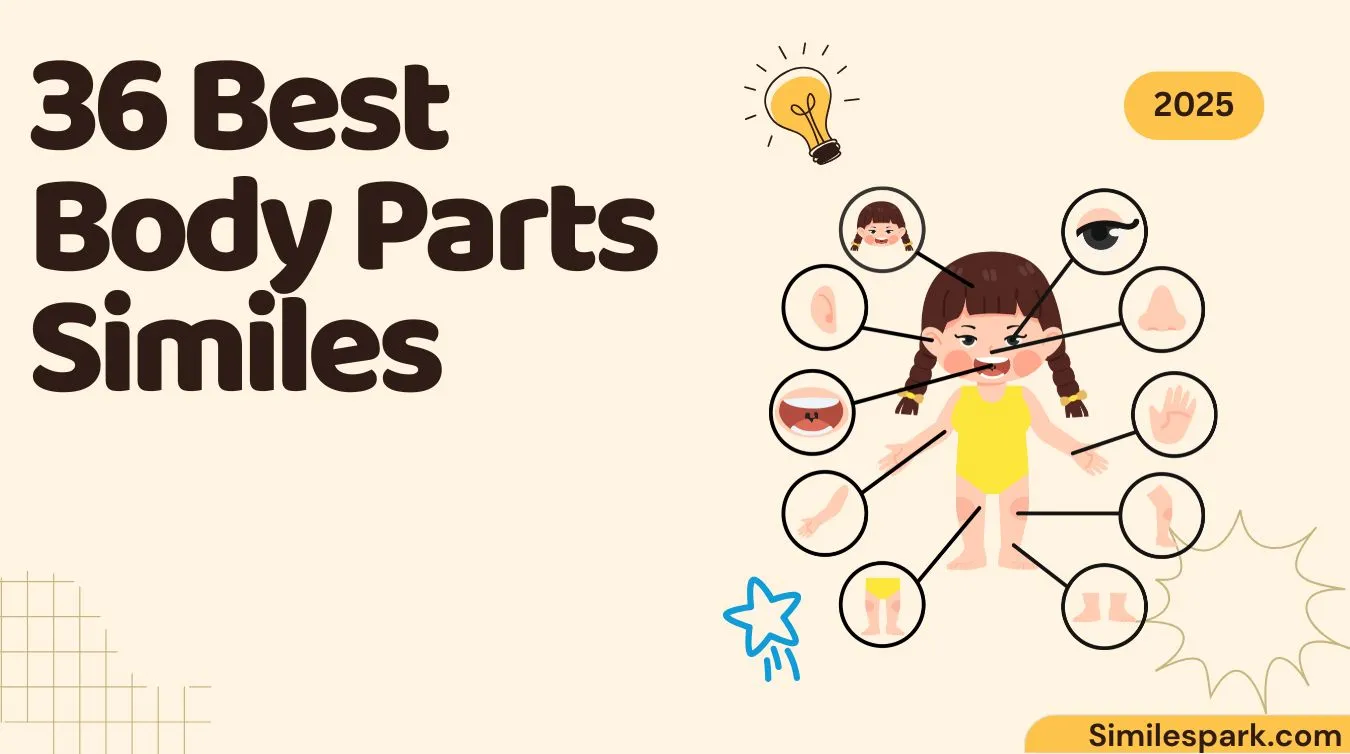 36 Best Body Parts Similes