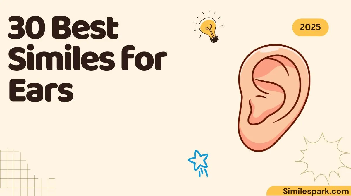 30 Best Similes for Ears