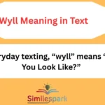 Wyll Meaning in Text