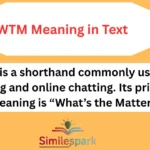 WTM Meaning in Text