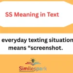 SS Meaning in Text