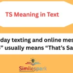 TS Meaning in Text