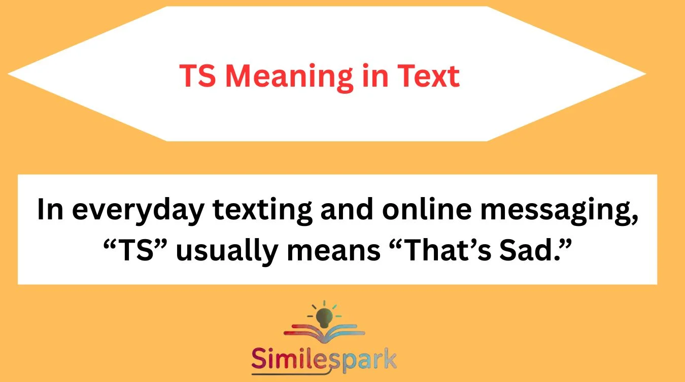 TS Meaning in Text