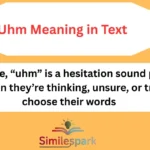 Uhm Meaning in Text