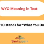 WYO Meaning in Text